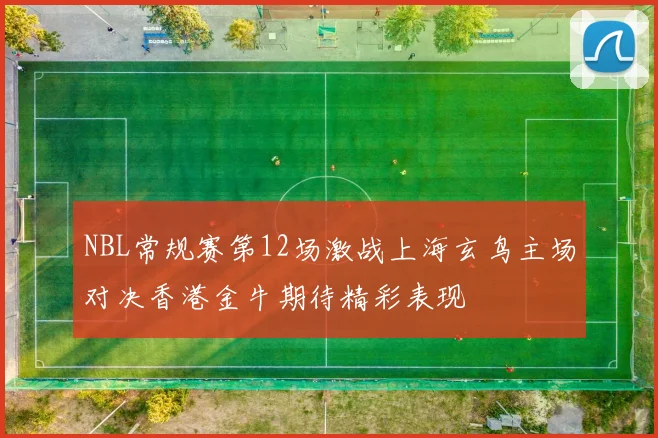 NBL常规赛第12场激战上海玄鸟主场对决香港金牛期待精彩表现