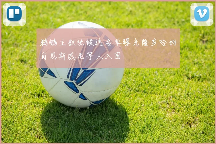 鹈鹕主教练候选名单曝光隆多哈姆肖恩斯威尼等人入围