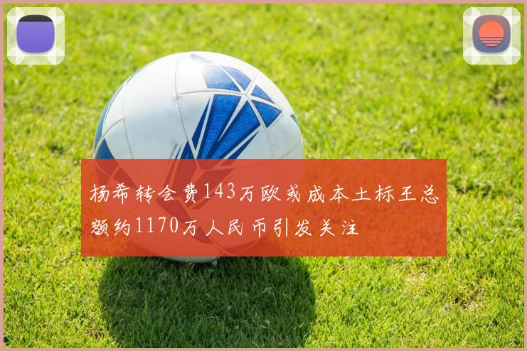 杨希转会费143万欧或成本土标王总额约1170万人民币引发关注